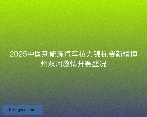 2025中国新能源汽车拉力锦标赛新疆博州双河激情开赛盛况