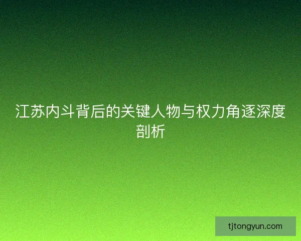 江苏内斗背后的关键人物与权力角逐深度剖析