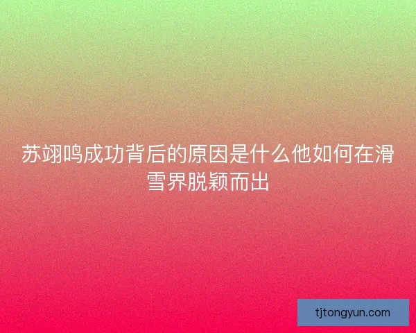 苏翊鸣成功背后的原因是什么他如何在滑雪界脱颖而出