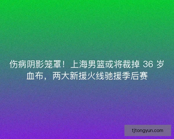 伤病阴影笼罩！上海男篮或将裁掉 36 岁血布，两大新援火线驰援季后赛